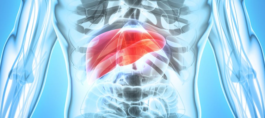 26-Supplements-that-May-Support-Liver-Health